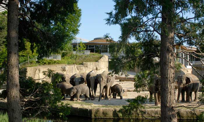 © Kölner Zoo